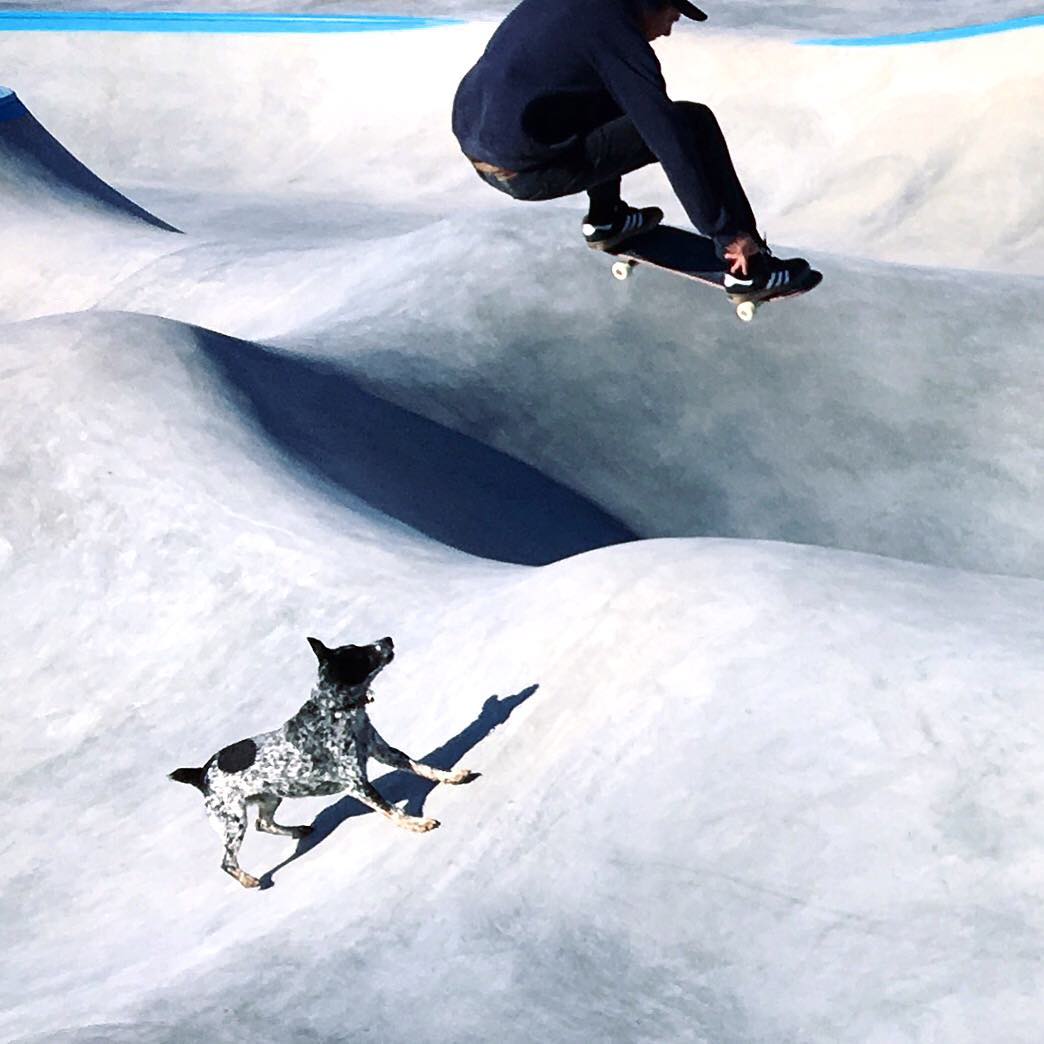Skate on the moon: Richie Conklin & Noot the Dog take some test runs