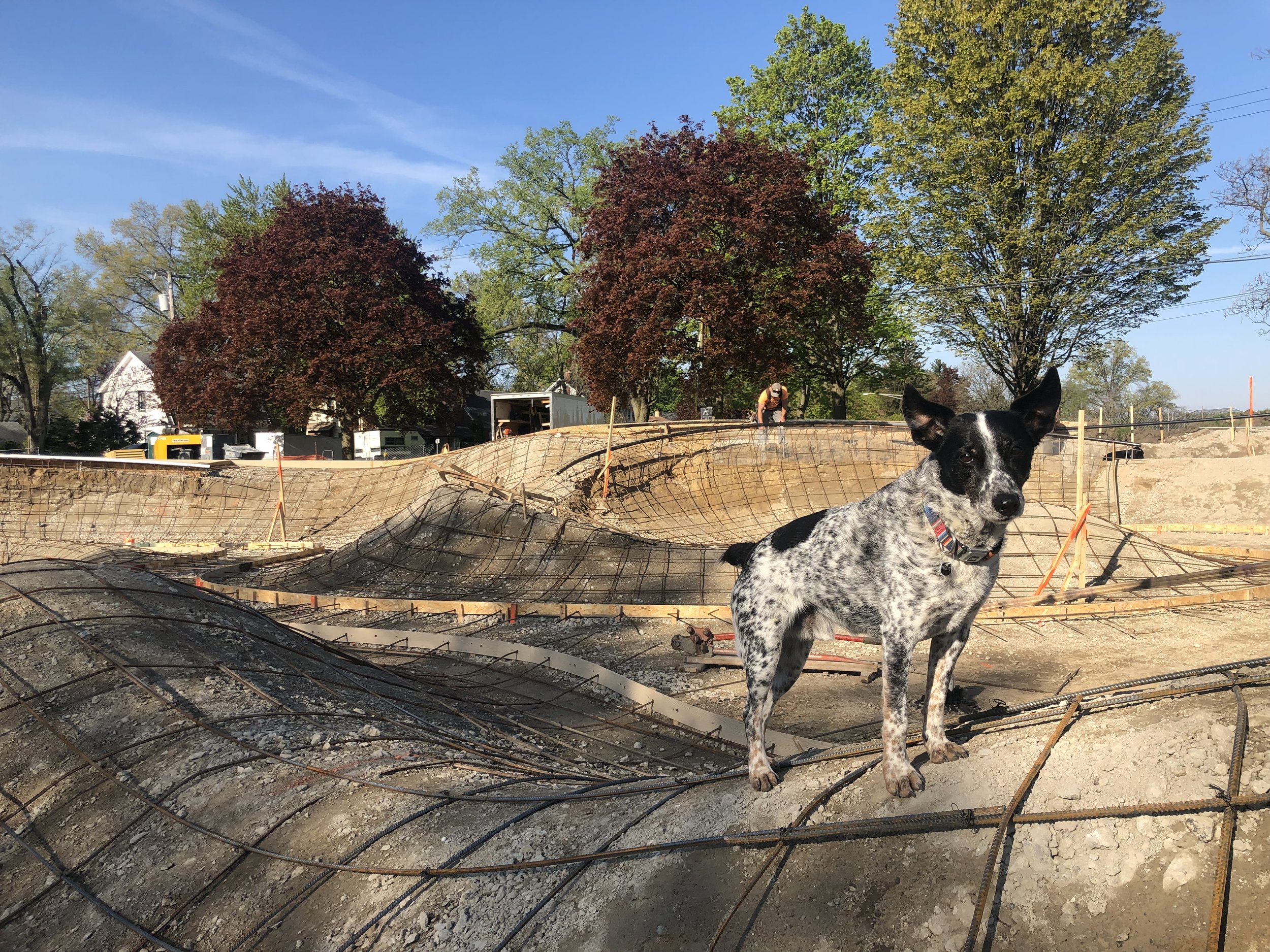 Ferndale, Michigan #skateparkconstruction 🚜 