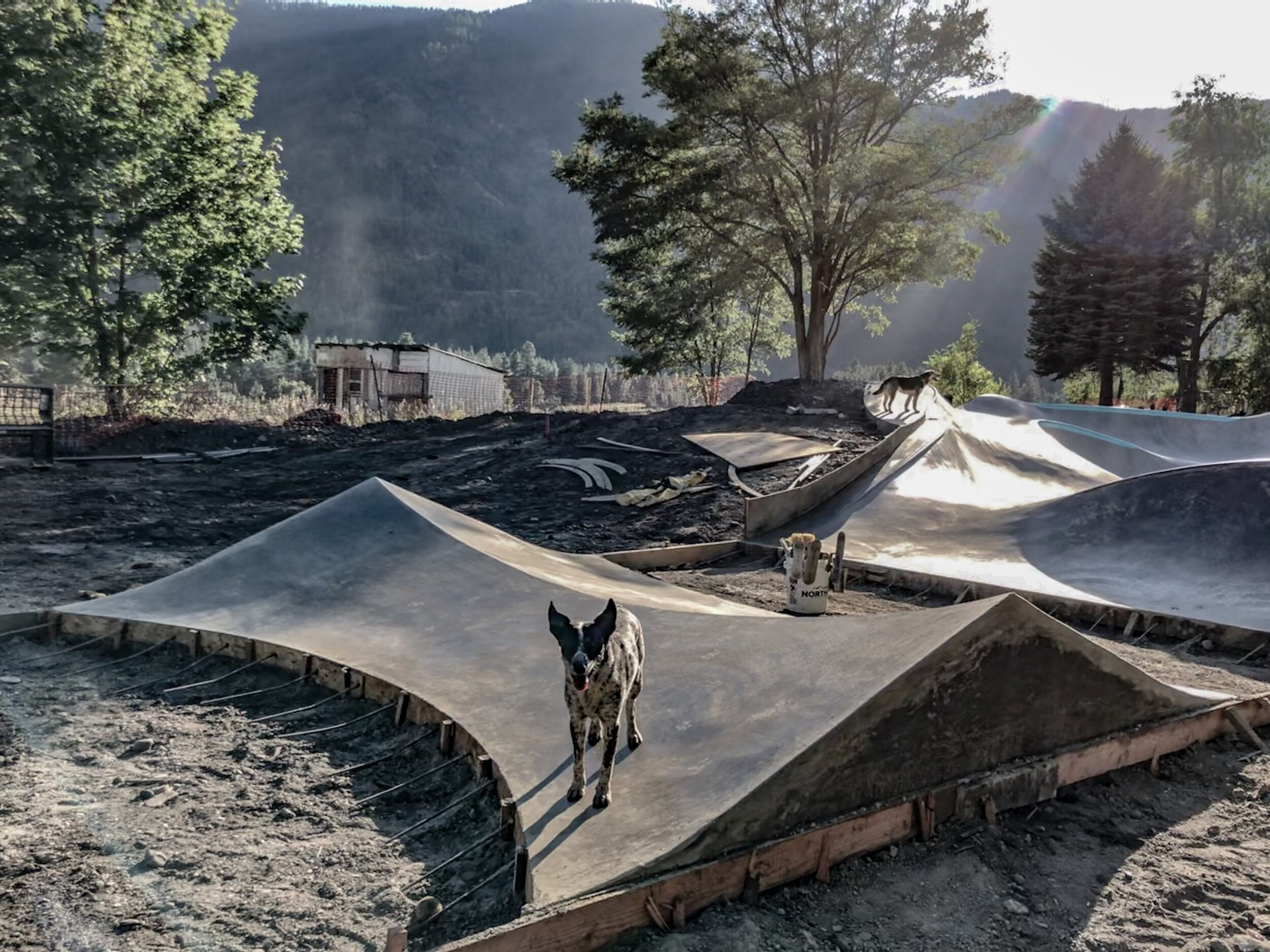 Alberton, Montana pup tent 👍🏼