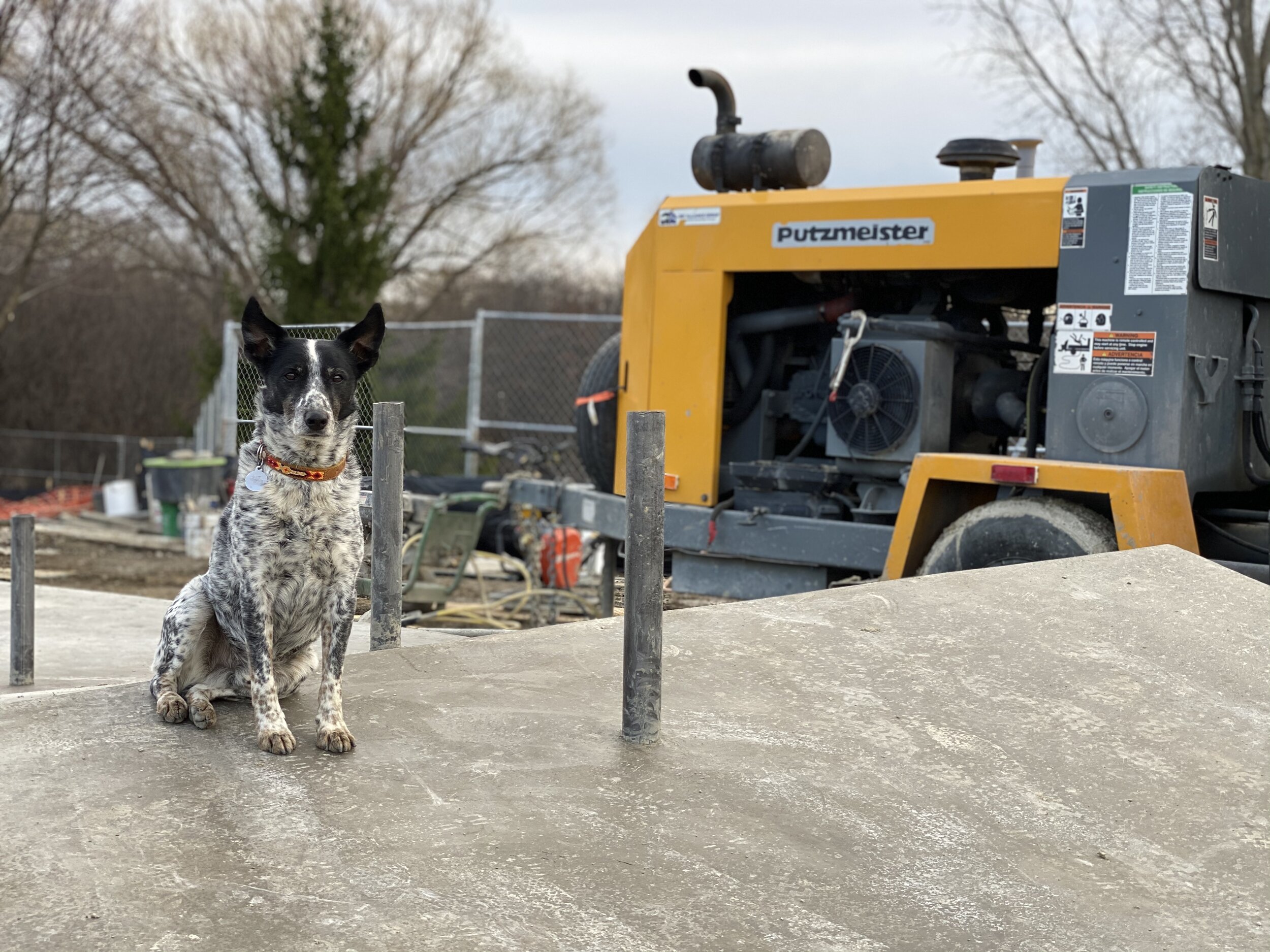 FUN test runs at the new Vernon Hills, Illinois skatepark 💥 #nootthedog approved ✅