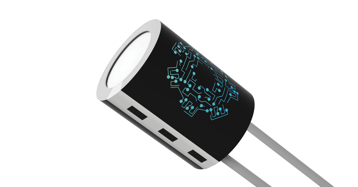 CAPACITOR v2.png