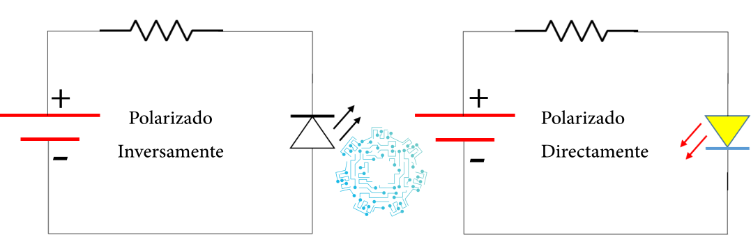 polarizado.png