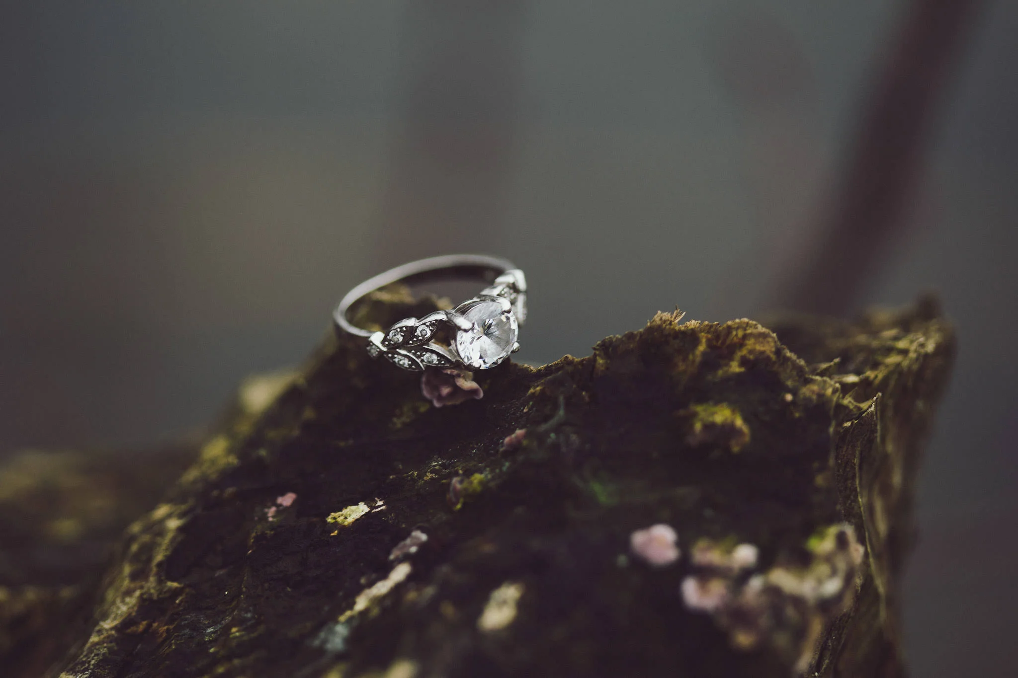 ALP - LindsayEricEngagement-5.jpg