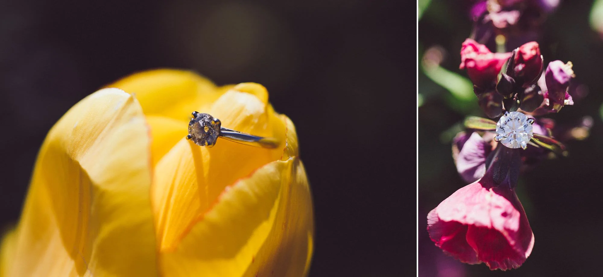 We found some beautiful spring flowers to take some macro photos of Elizabeth’s beautiful engagement ring!