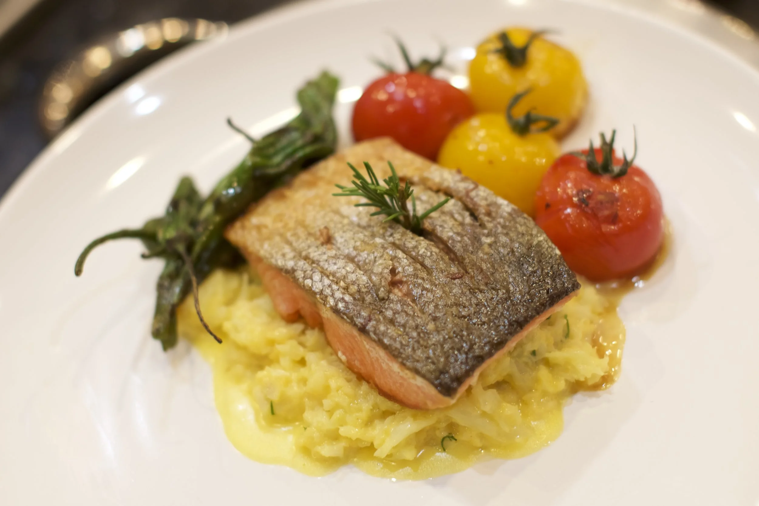 Salmon 3.jpg