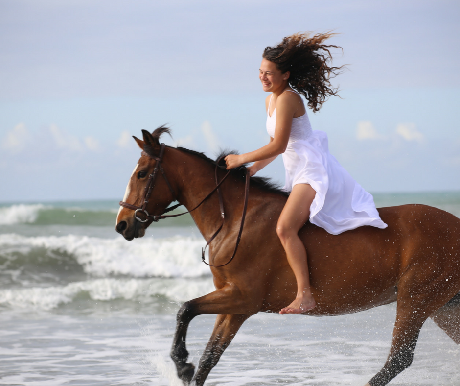 Our Services | Te Ao Hou Trust | Opotiki, NZ