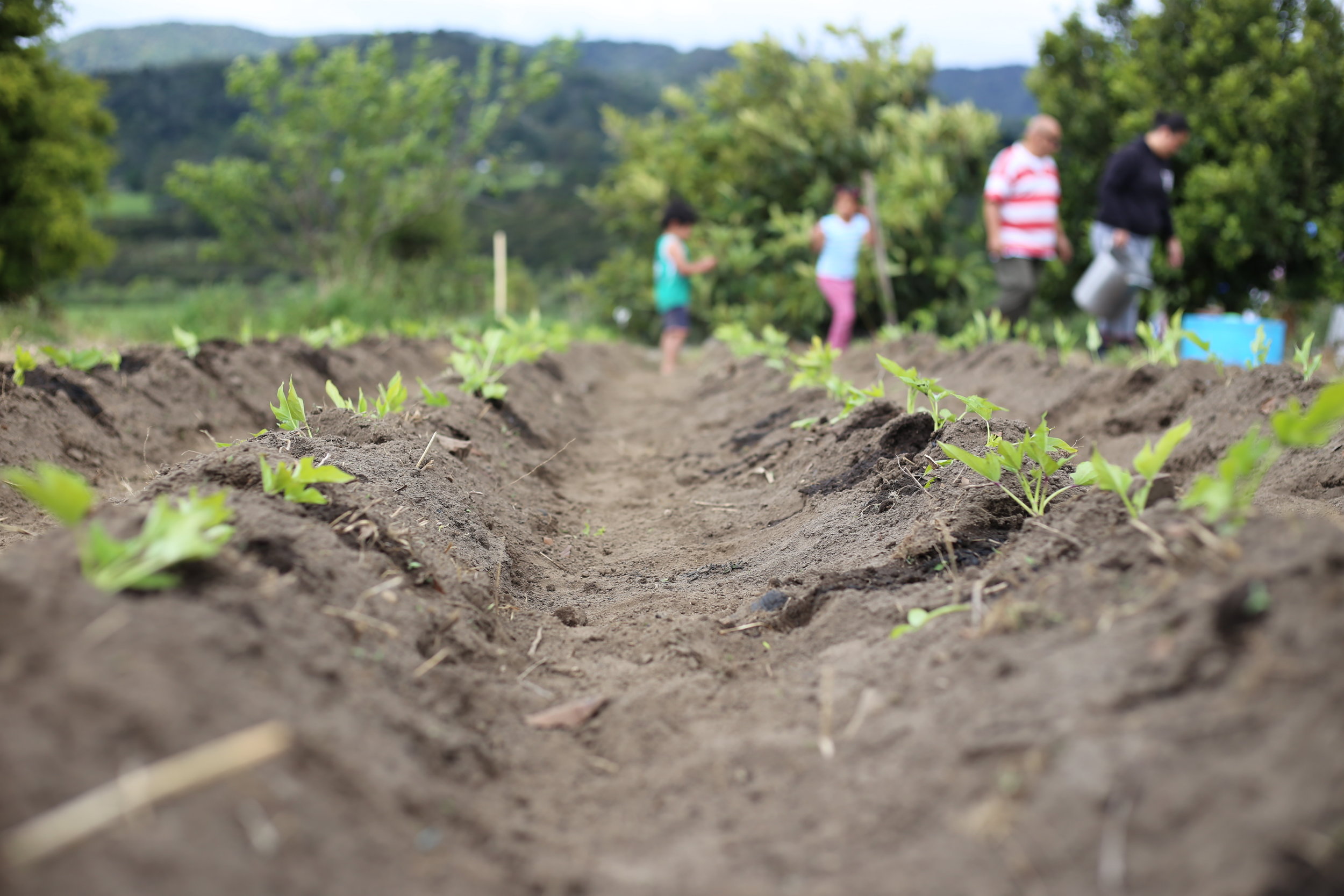 Copy of IMG_2757.JPG