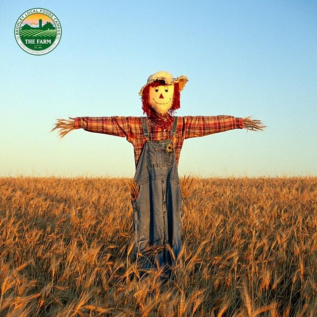 Why did the scarecrow win the Nobel Prize?
Because he was out standing in his field.
.
.
.
#historicfarm #bromleyfarm #localfoodcampus #edibleeconomy #localfarm #farming #historicbromleyfarm #brightoncolorado