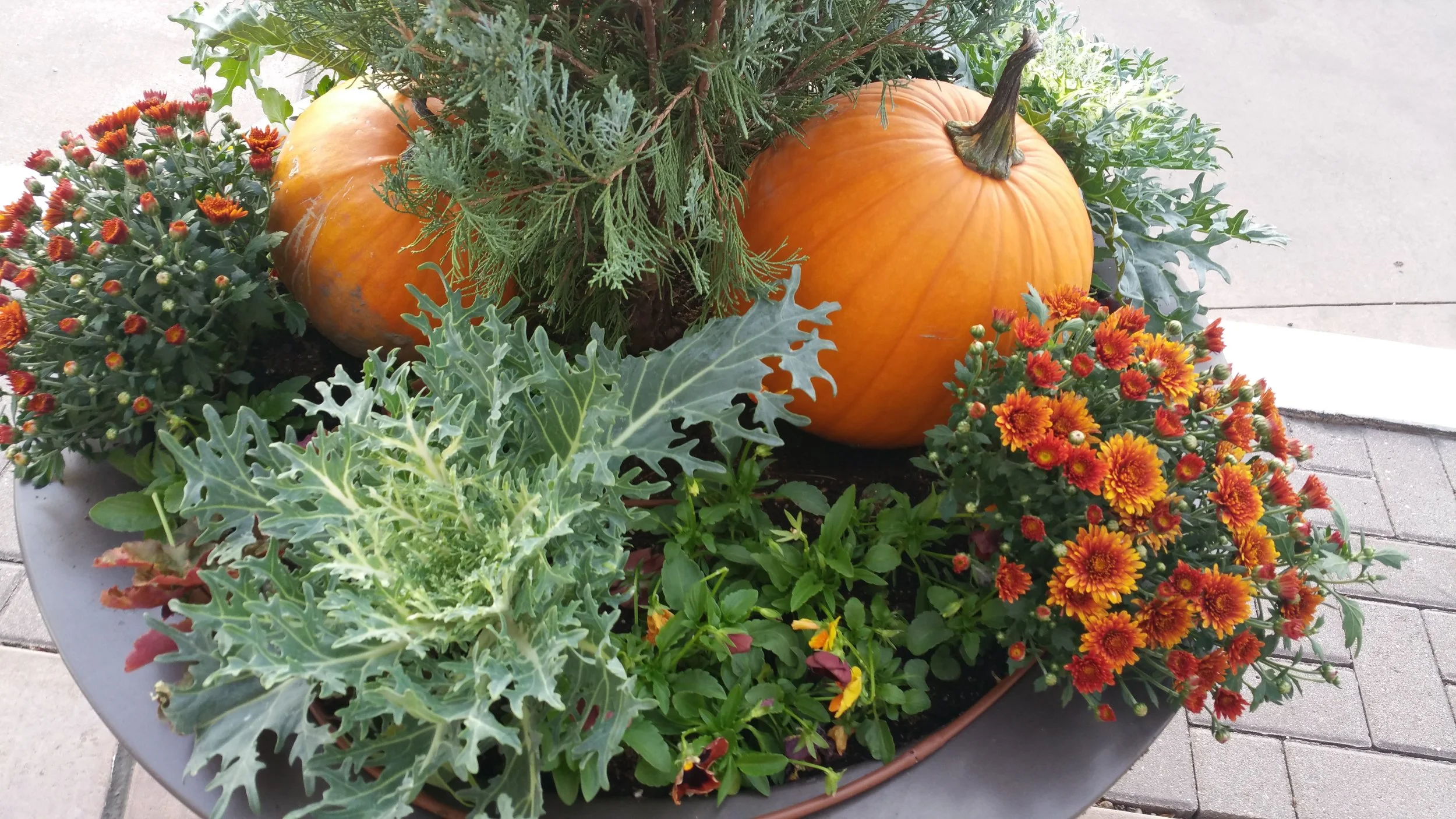 20150927_180109.jpg