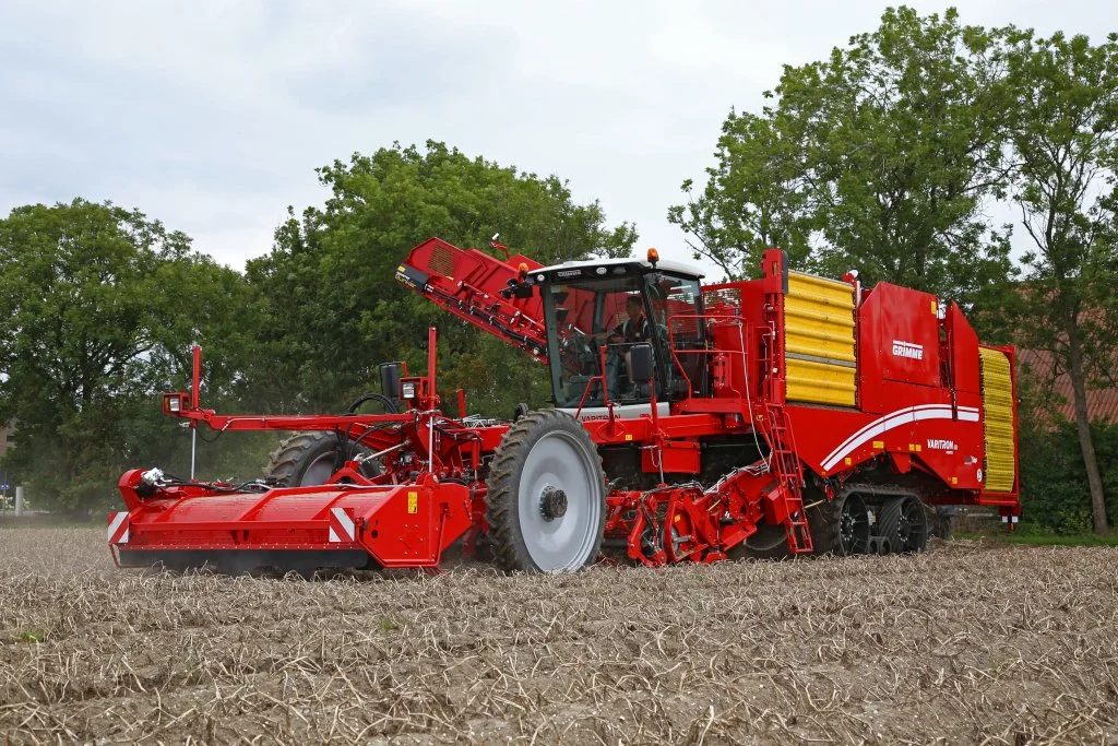 29994.jpg