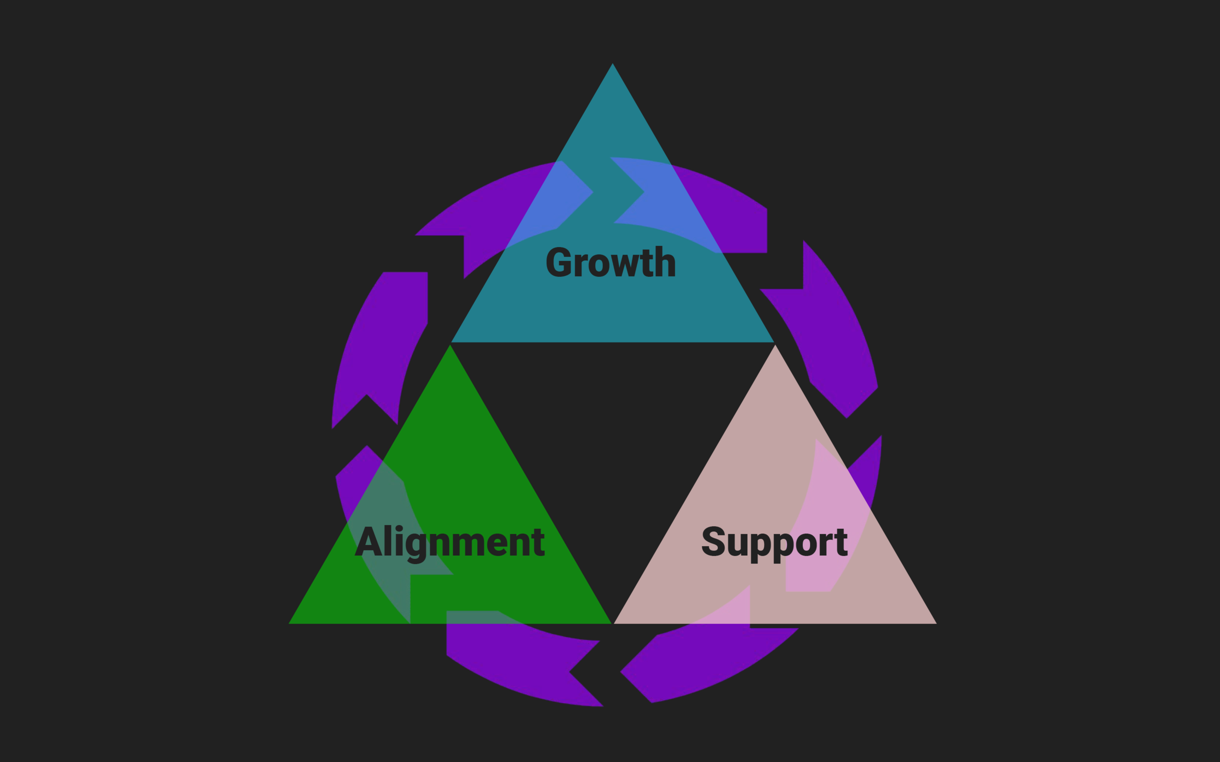 This is a holistic approach to culture maintenance for individual and team success -- alignment, growth, and support.