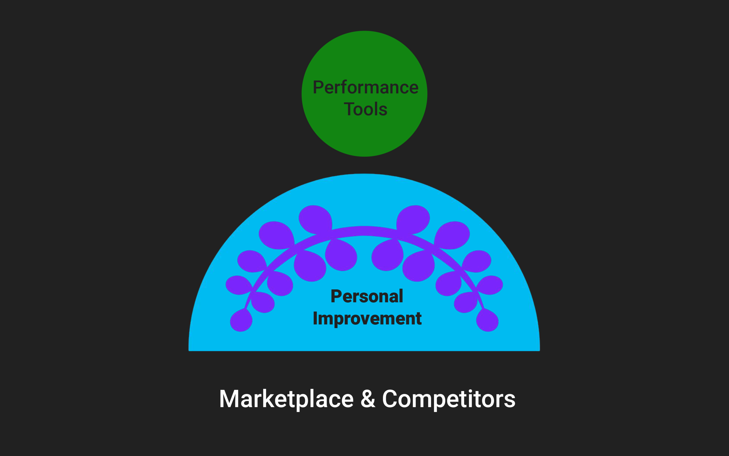 The personal improvement component is a simple performance tool -- which is a goal-based professional development tool.