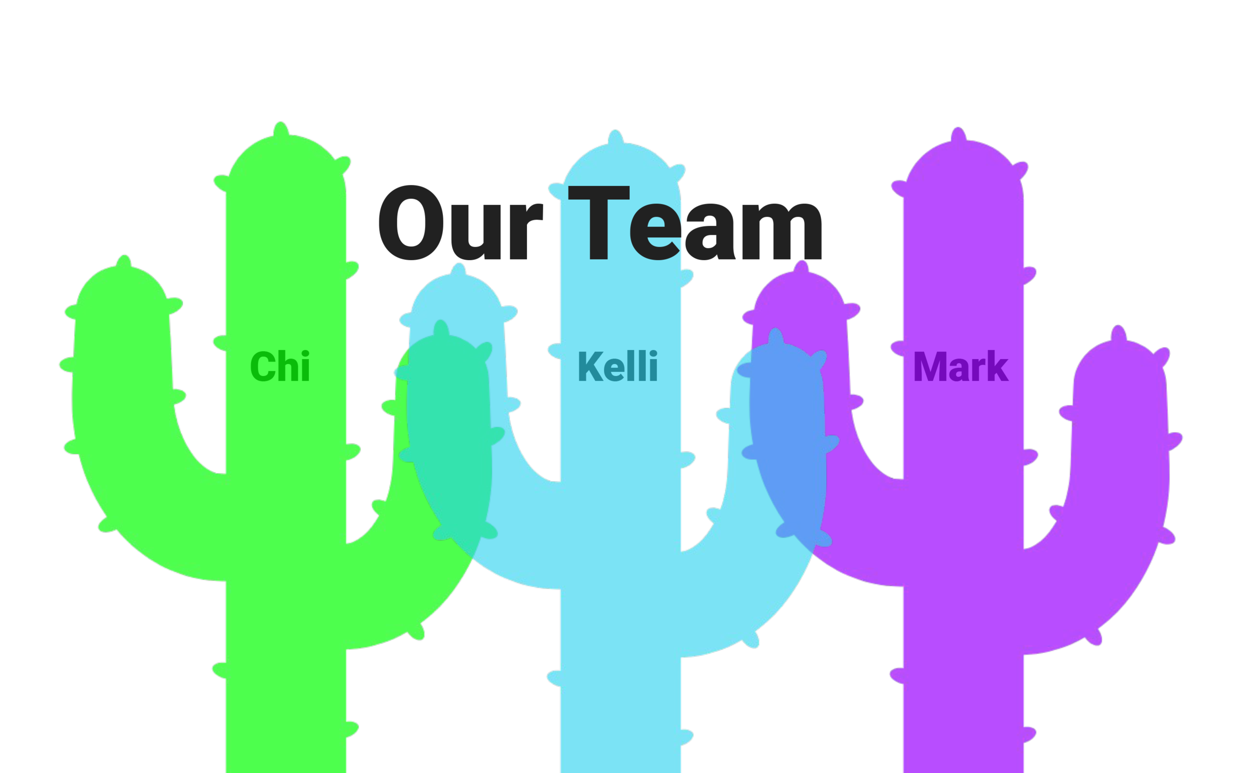 Let me introduce our team. Chi is in charge of general technology decisions and inspiring joy through the interaction and experience // I’m Kelli and I will be focused on the look and feel across tech and materials // and Mark will be reviewing data