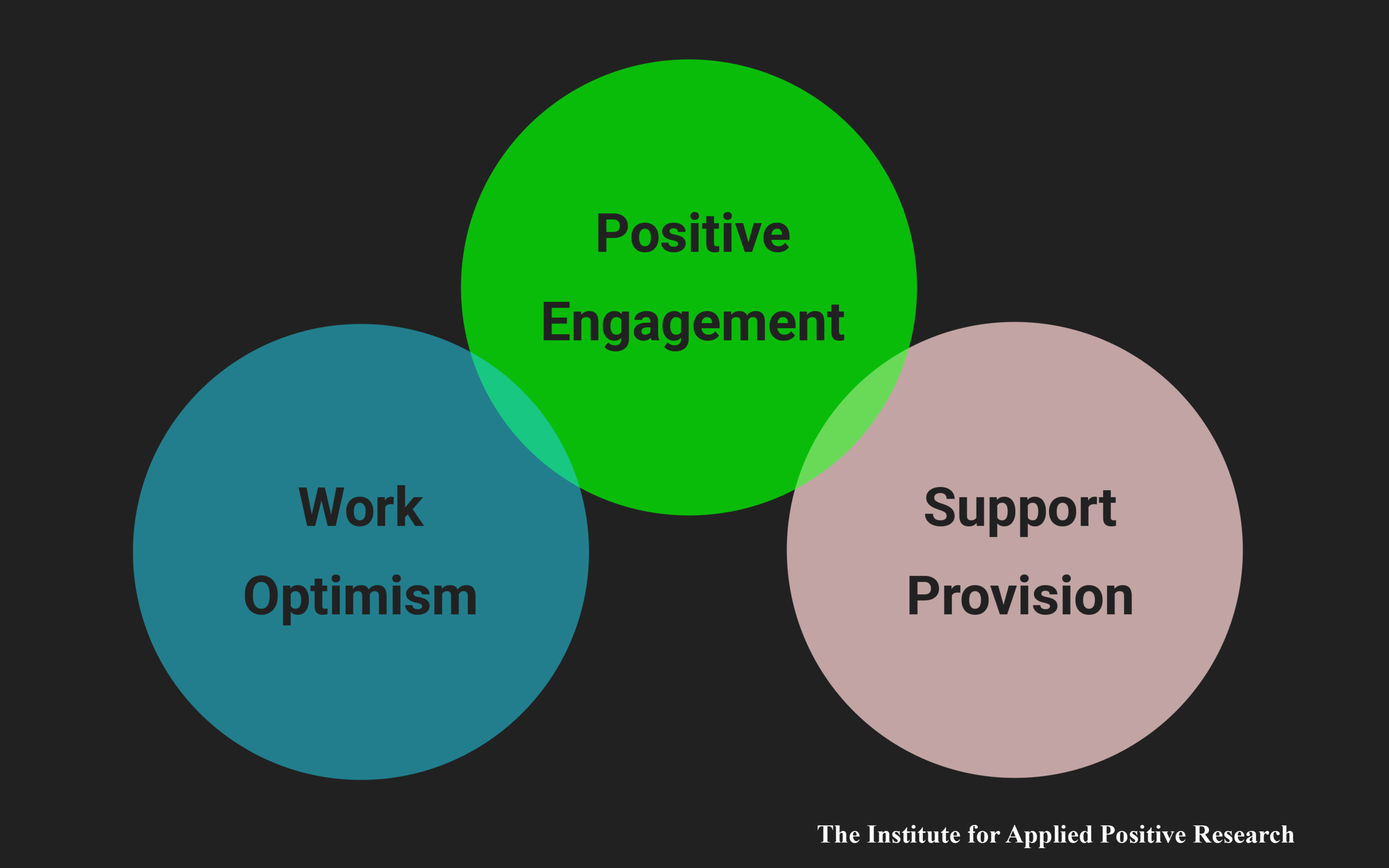 In addition to our primary research, we collected some supplemental materials to help us refine our approach. One study we looked at from The Institute for Applied Positive Psychology found that there are three main connections between personal beha