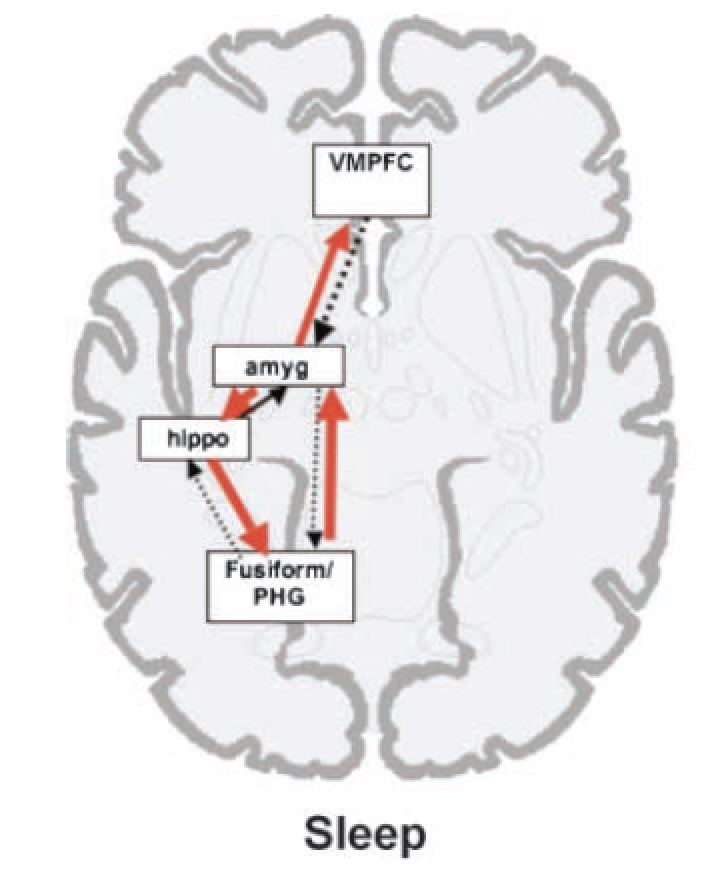 from Payne & Kensinger, 2010