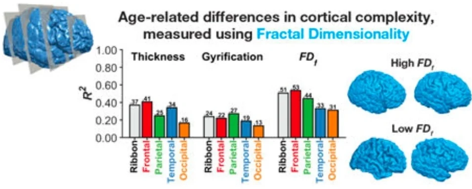 graphical abstract from Madan & Kensinger, 2016