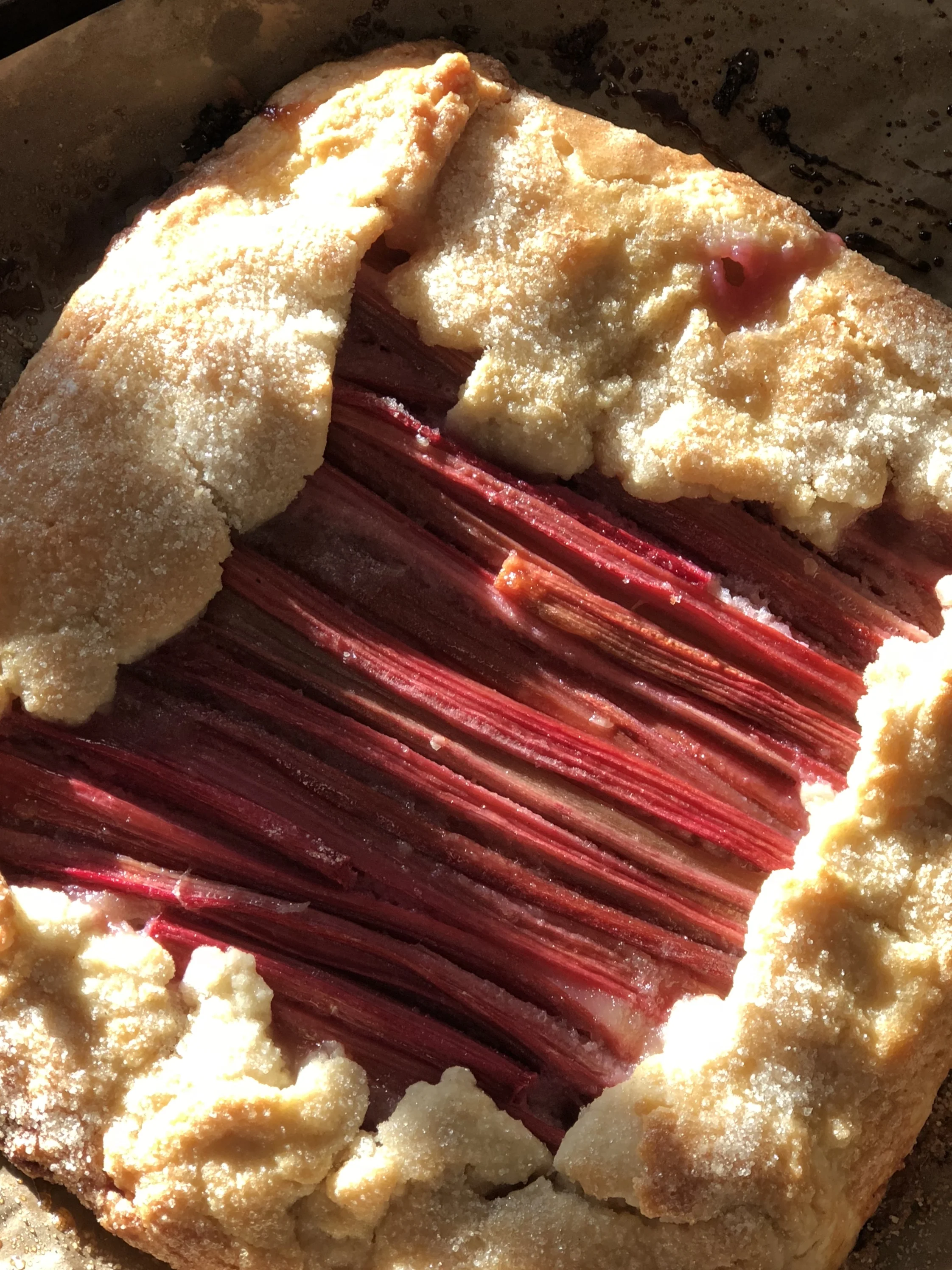 Vegan Rhubarb Galette