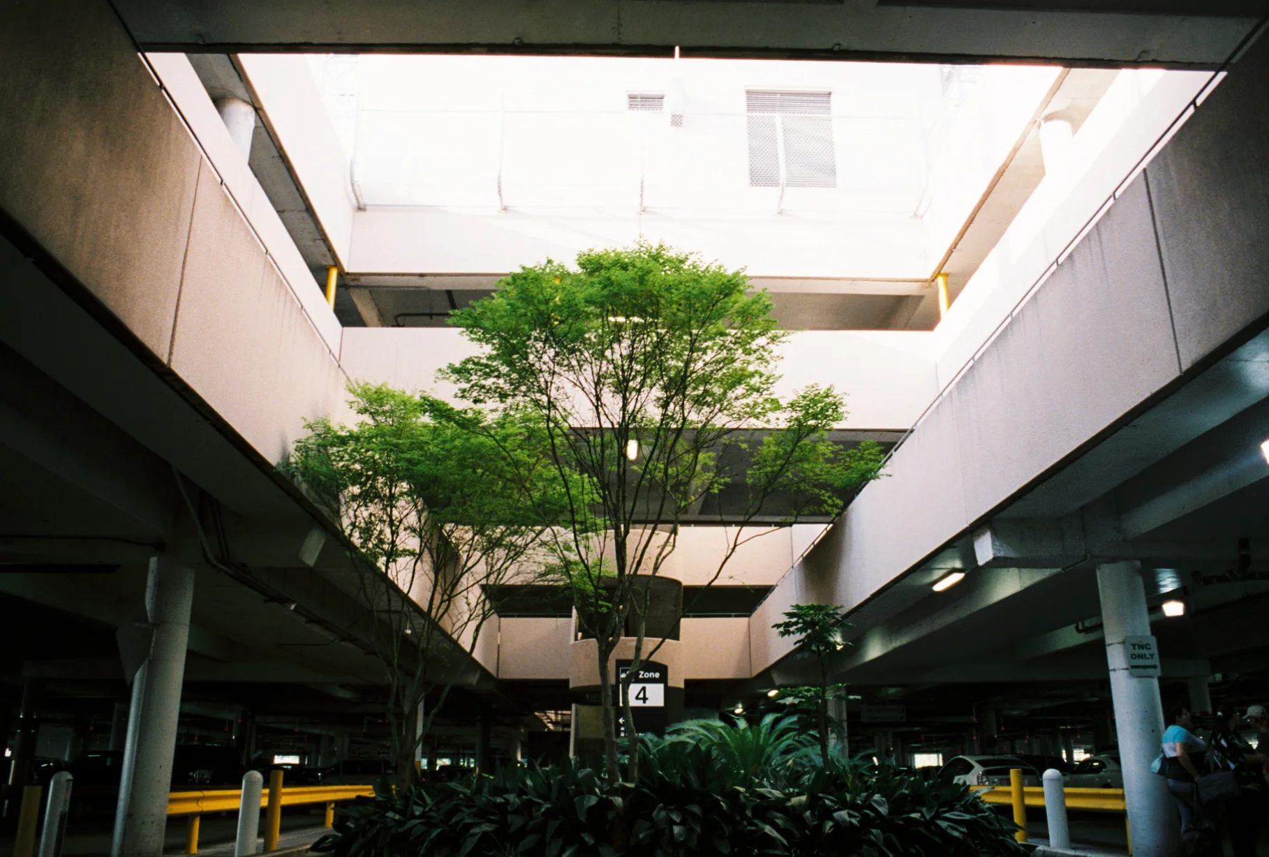 fuji disney (22 of 32).jpg