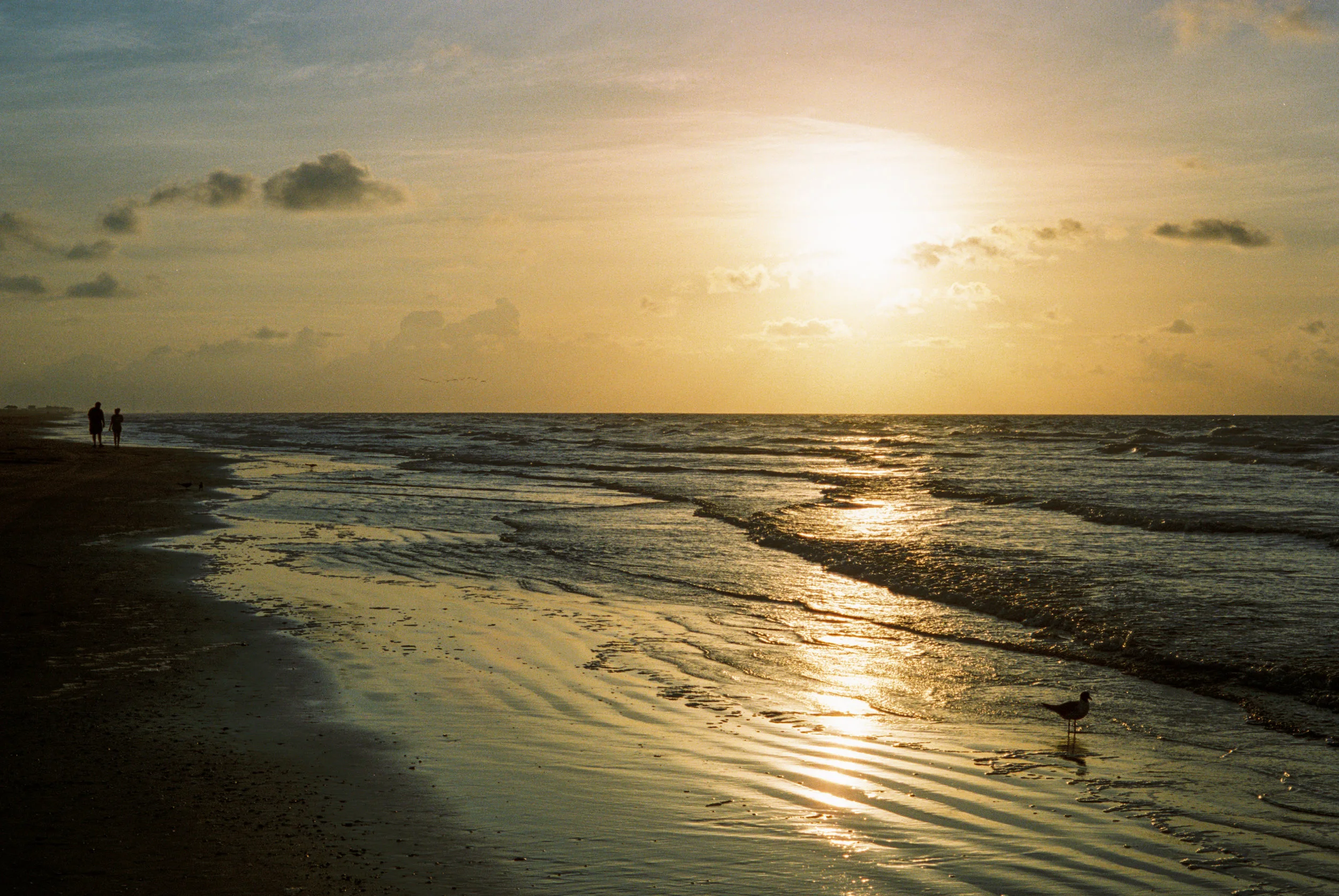 Surfside2k17 v2-4.jpg