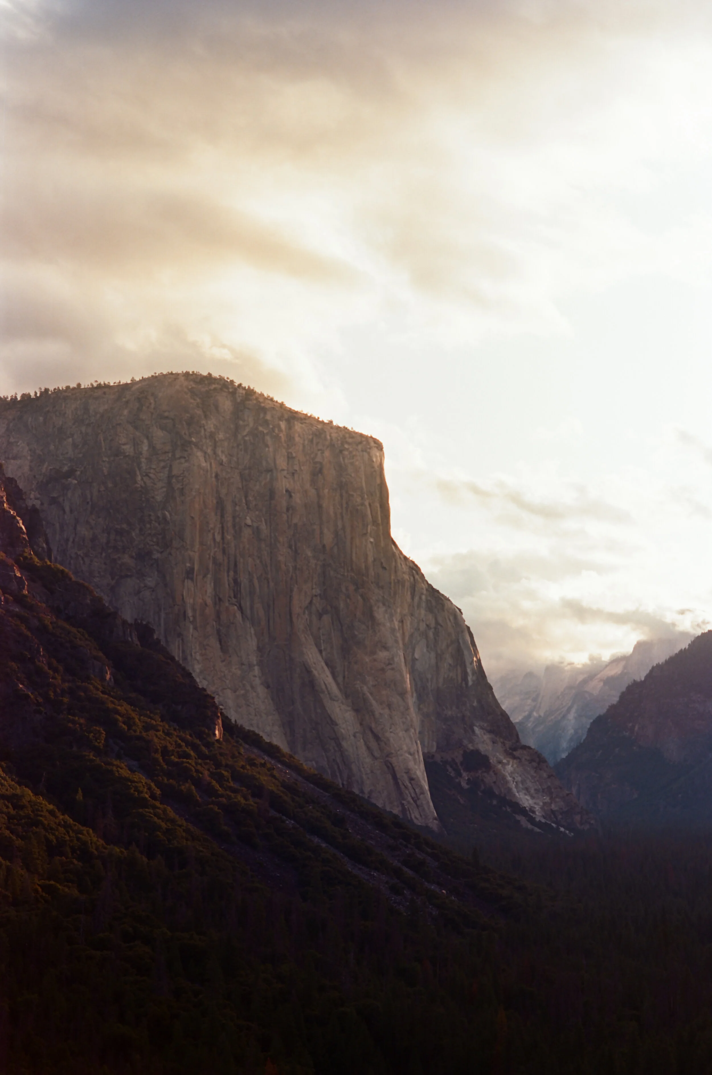 Cali Squaresapce-5.jpg