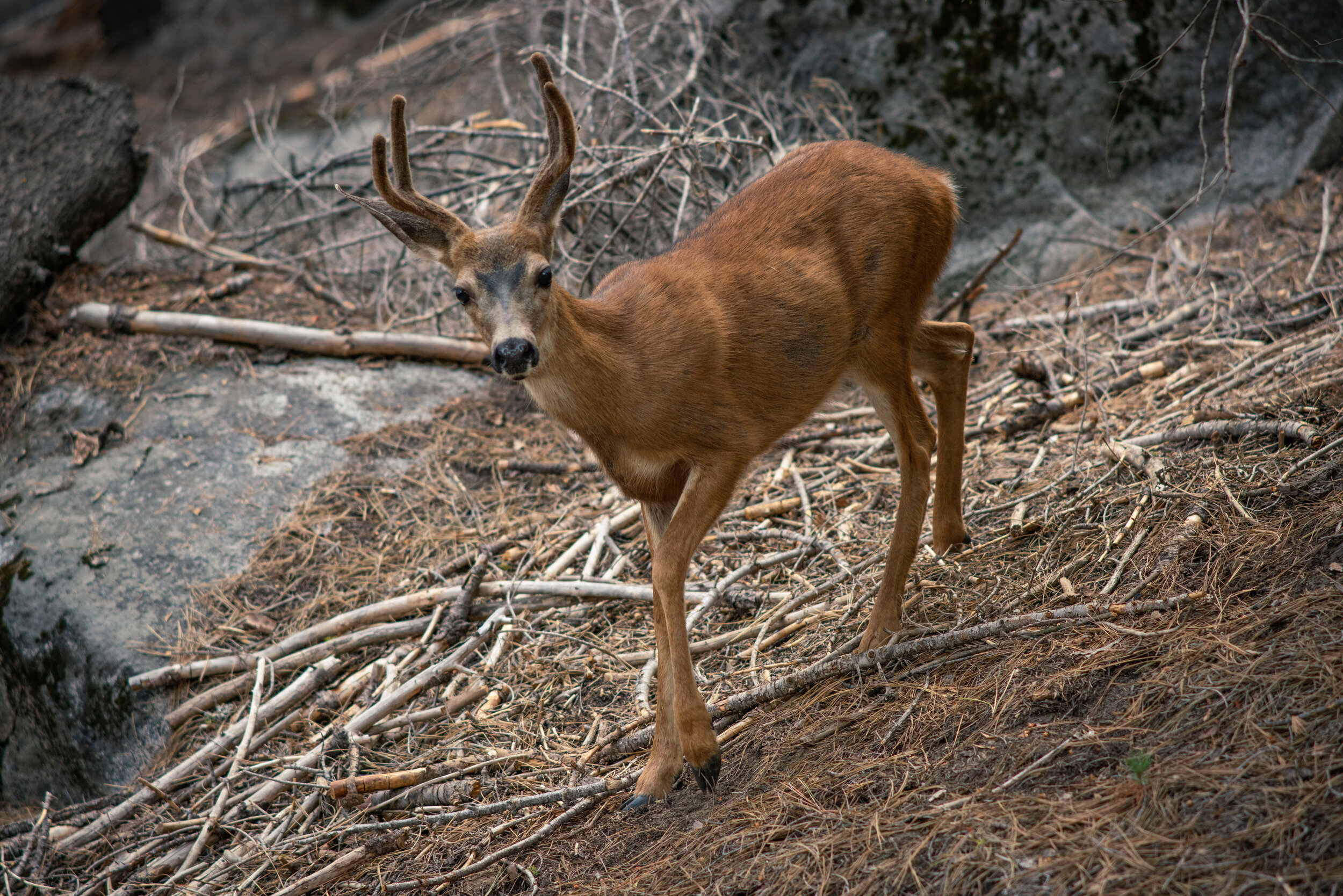 Cali Squaresapce-6.jpg