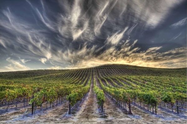 Photo by CliffBriggin/iStock / Getty Images