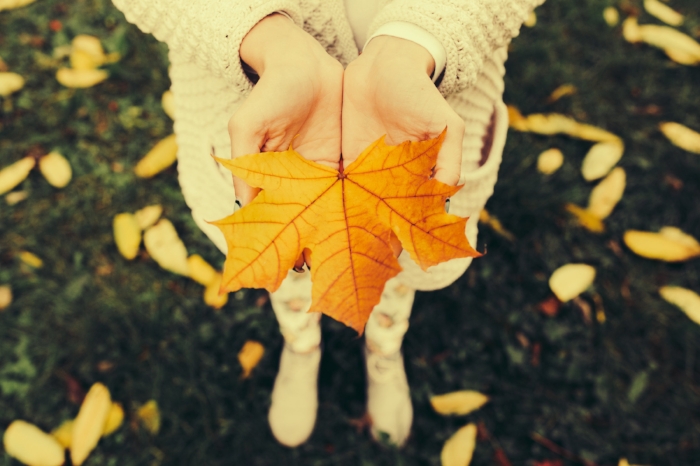 (Photo by teksomolika/iStock / Getty Image)s
