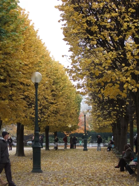 Paris in the Fall (Photo: Carrie Gress)