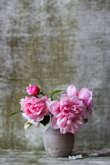 alexandra-seinet-24243-unsplash-1.jpg