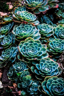 zane-lee-1433881-unsplash-1-2.jpg