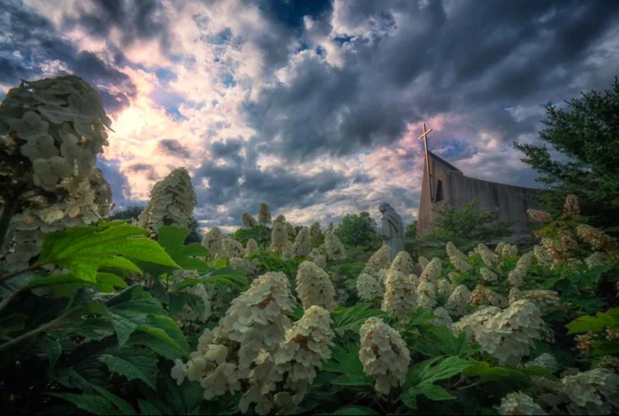 Photo by the Celestial Photographer, John Novotny
