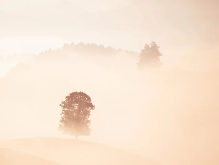 ricardo-gomez-angel-zwRVa3sVGBA-unsplash-1.jpg