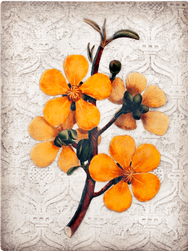 From the 2019 Collection