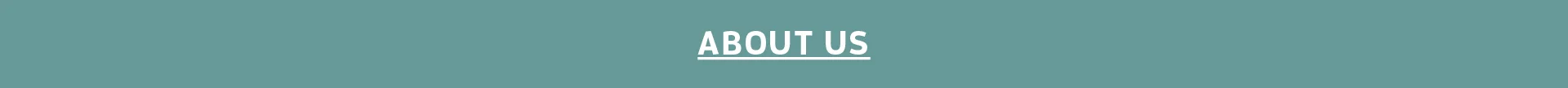 Our Mission Banner-100.jpg