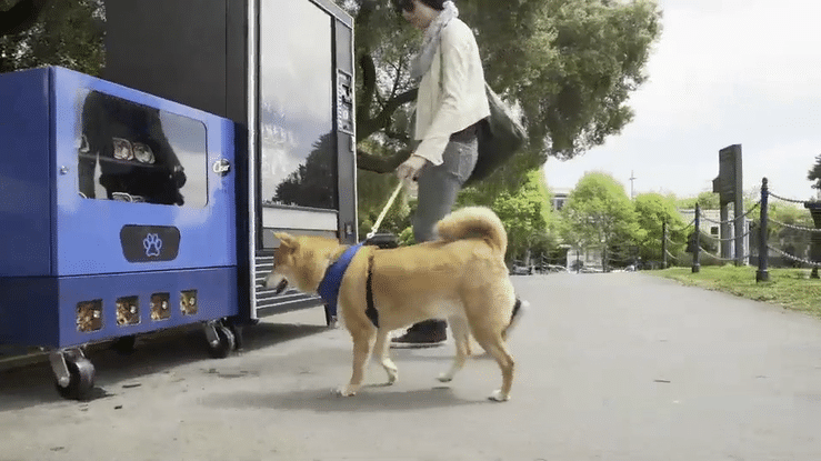 Cesar Home Delights_ Vending Machine-high.gif