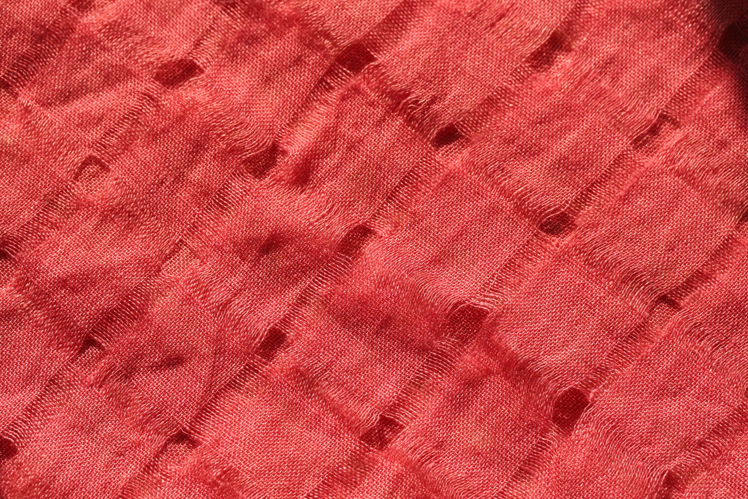 Coral AC-10