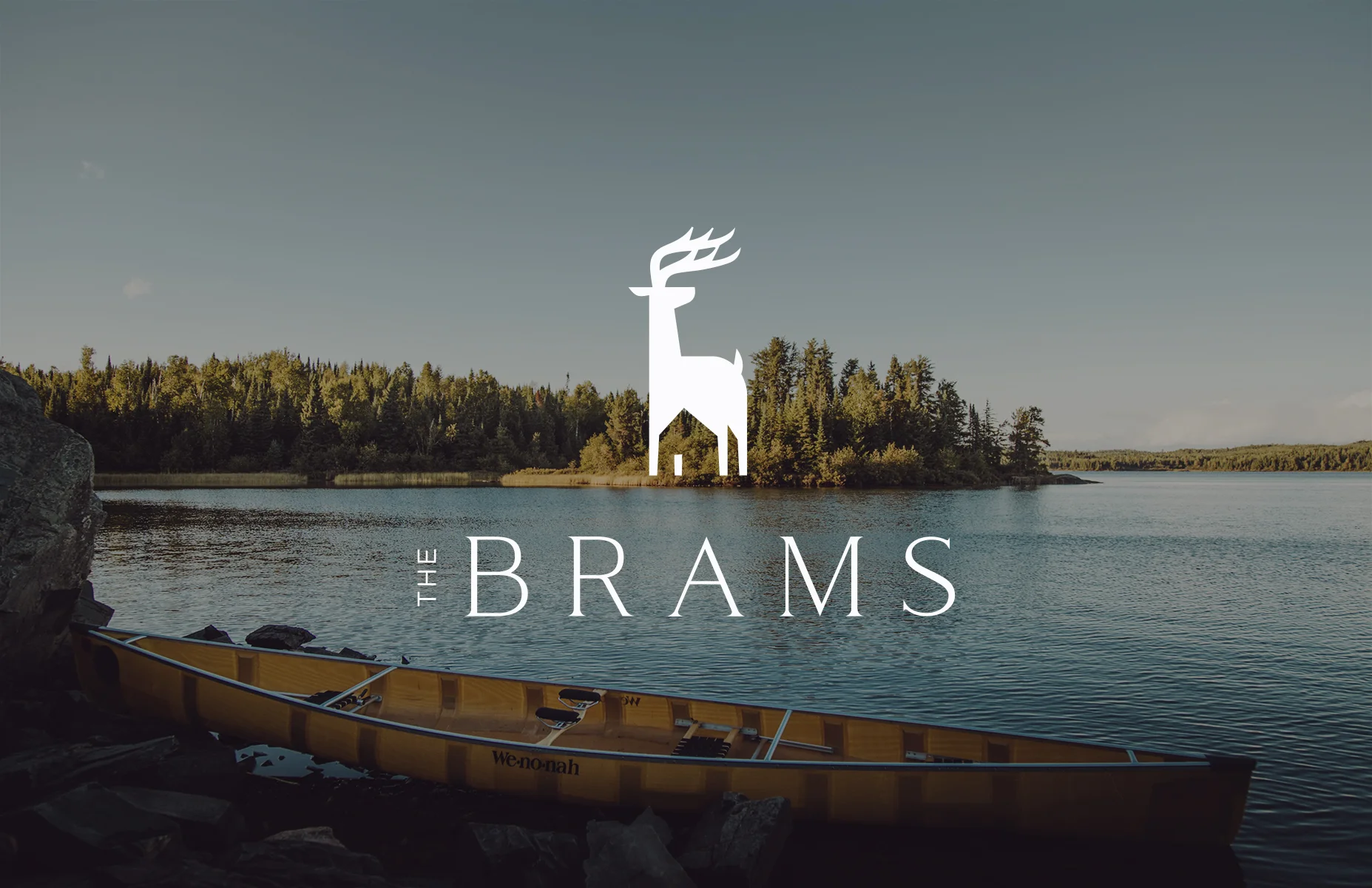 Brams_avf_1.jpg