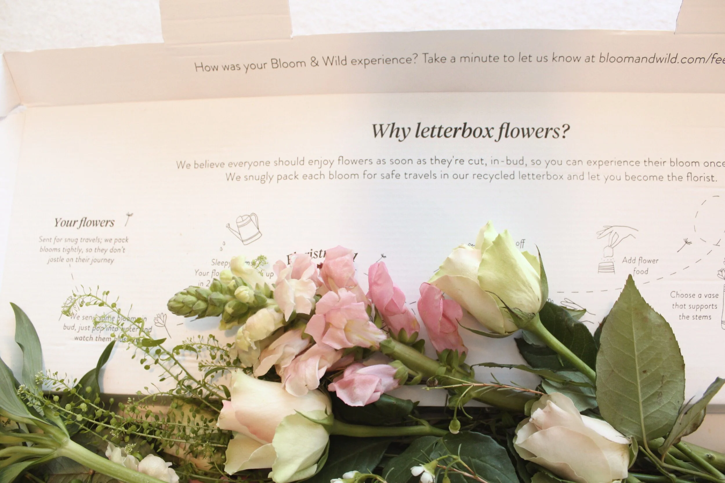 Bloom & Wild Letterbox Flowers.jpeg