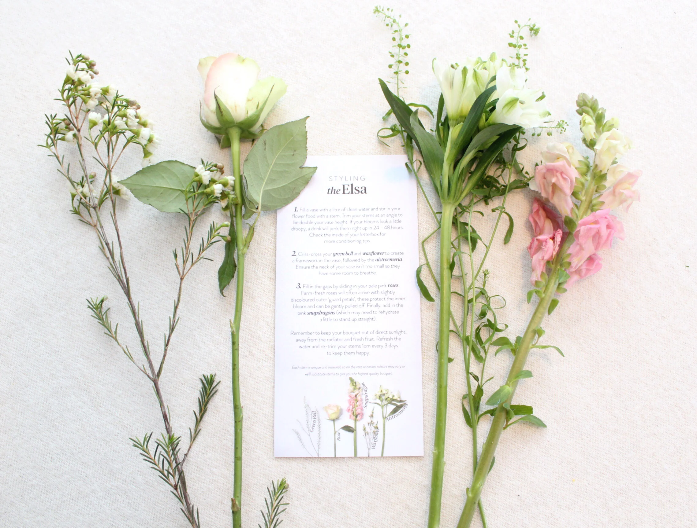 Bloom & Wild Letterbox Flowers.jpeg