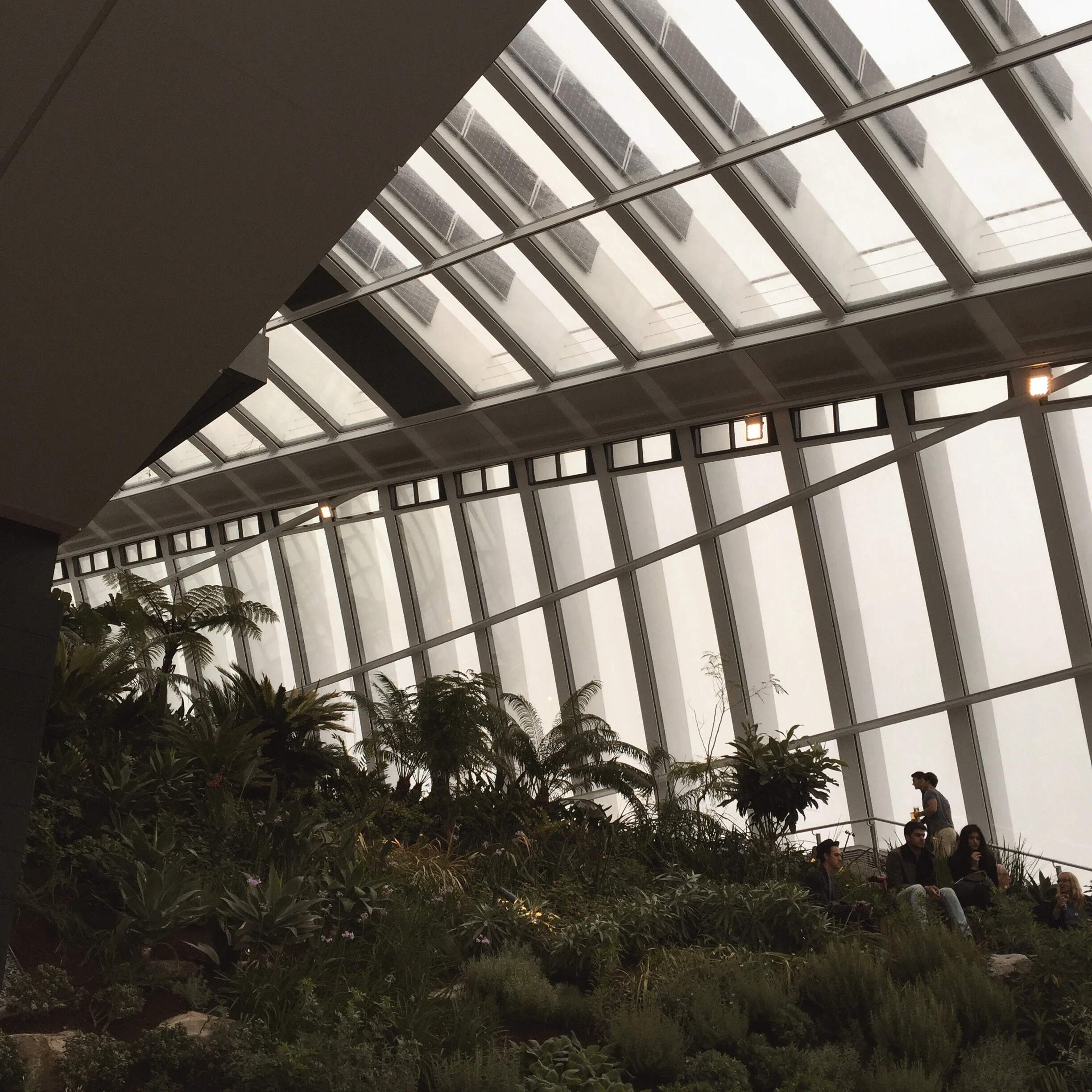 Sky Pod Bar, at The Sky Garden, London.JPG