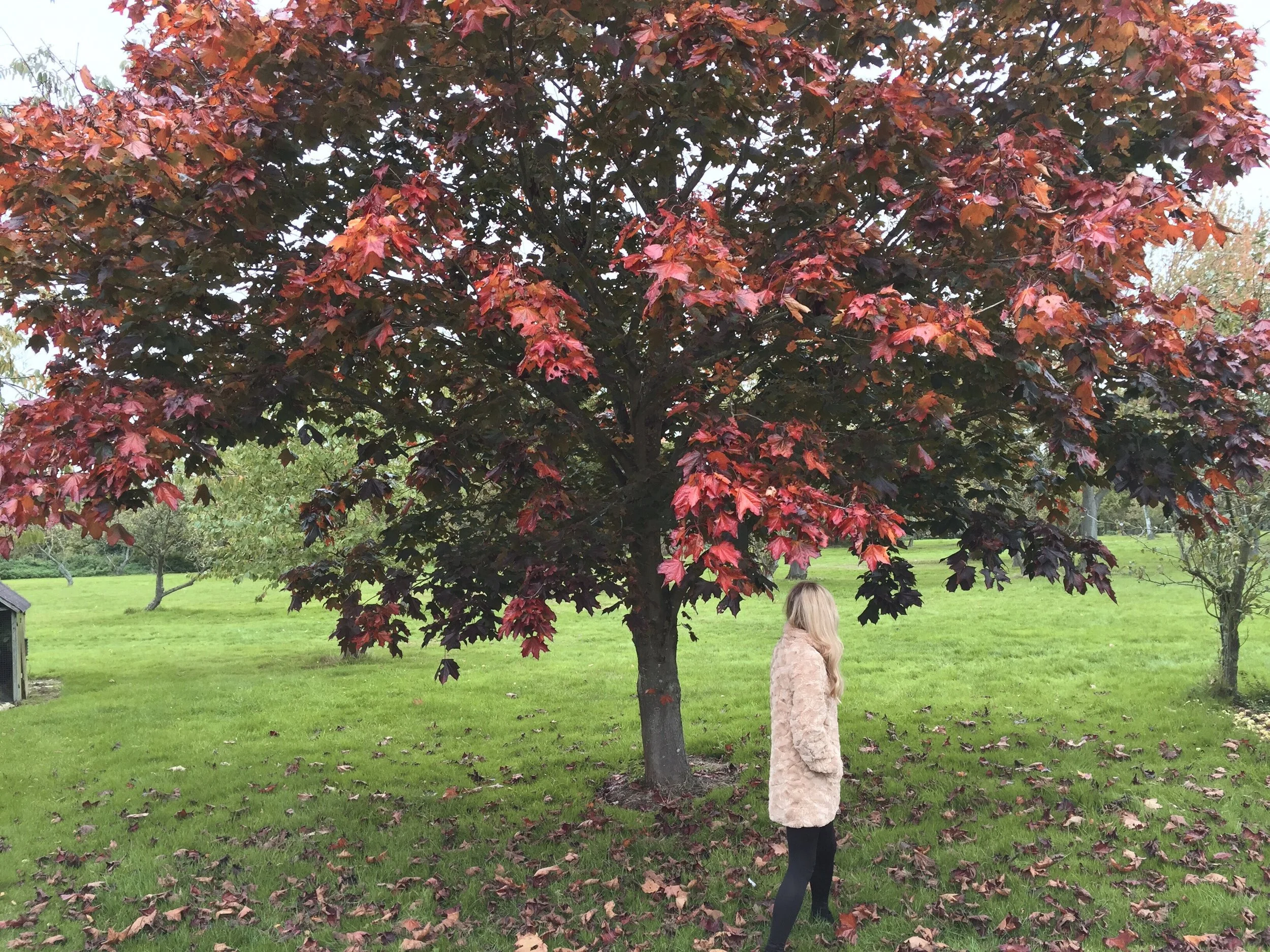 British Bloggers Fashion, Coat trends 2018..jpg