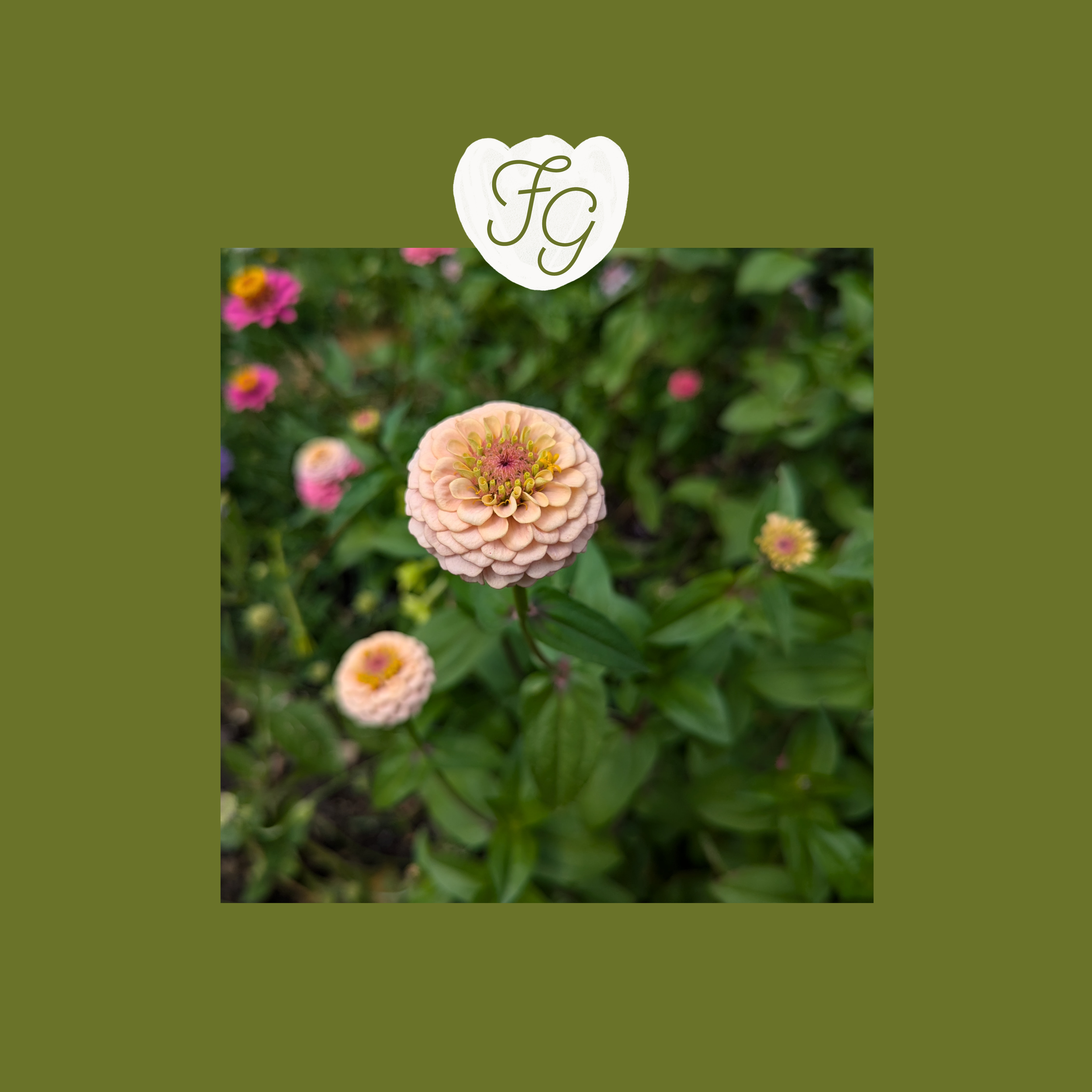 Taryn Archer Social Posts_concept 24.png
