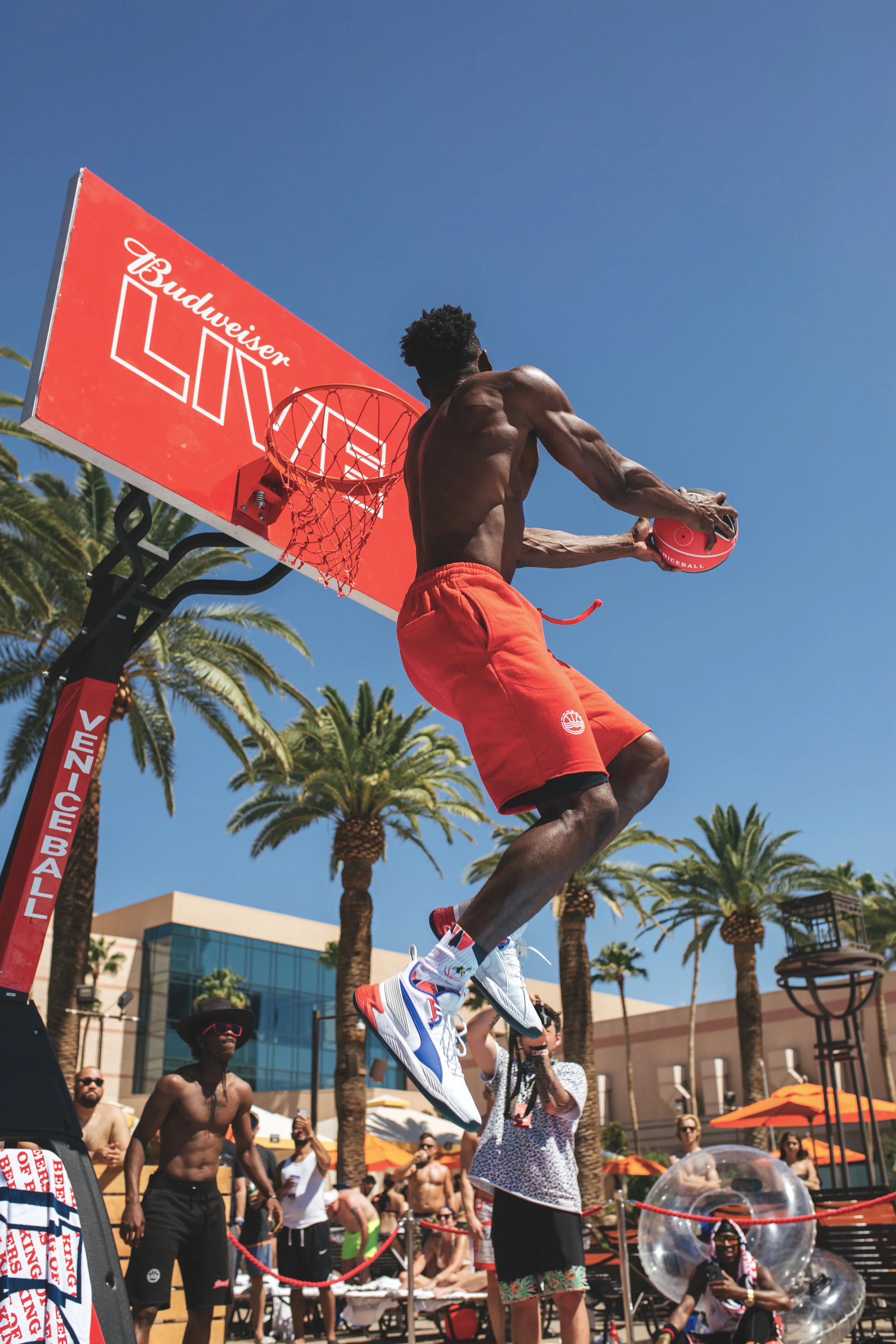 busweiserlivecover.jpg