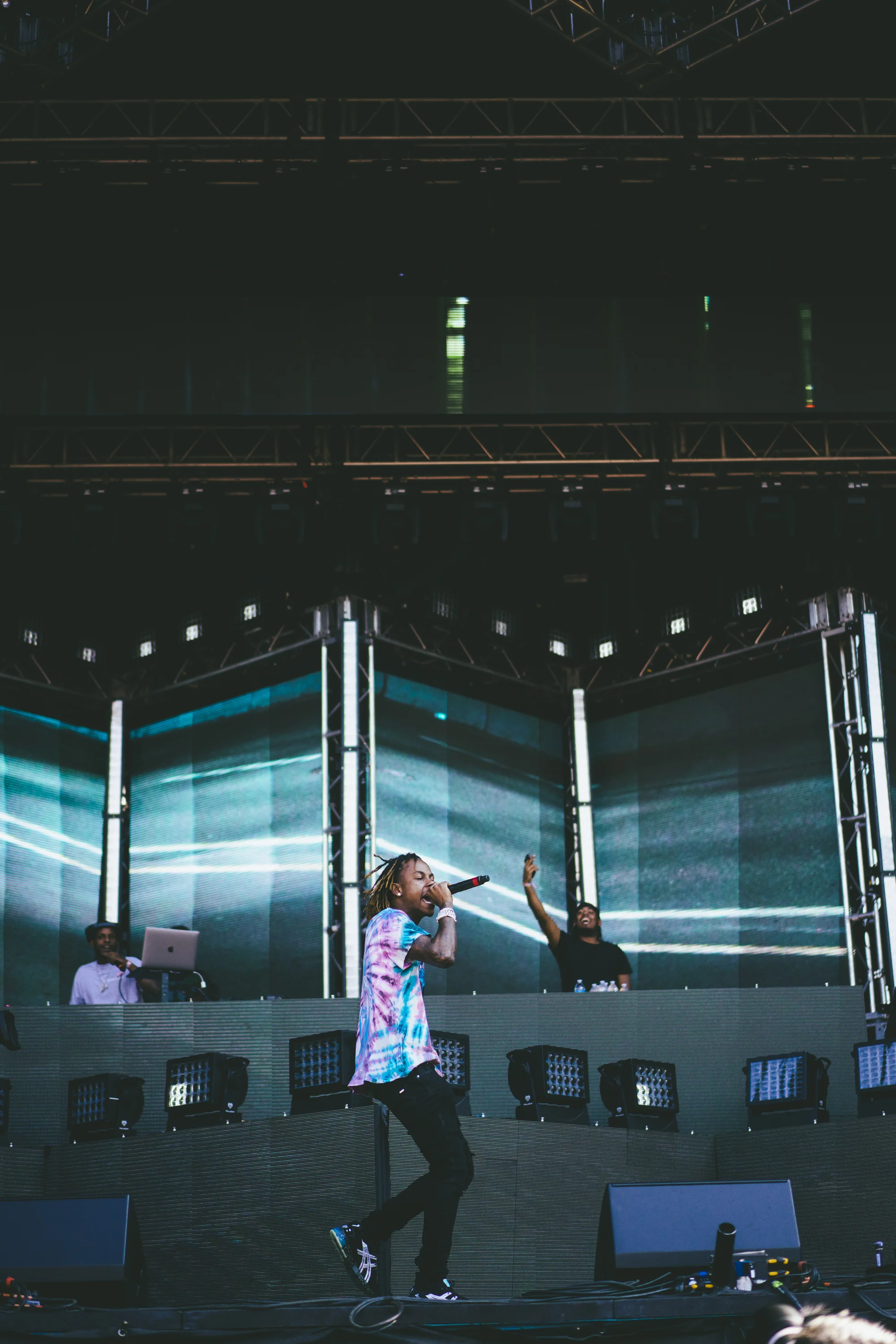 lollapalooza_DSC00992_373.jpg