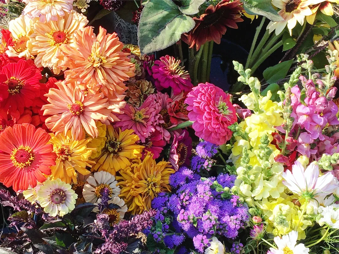 flowers.JPG