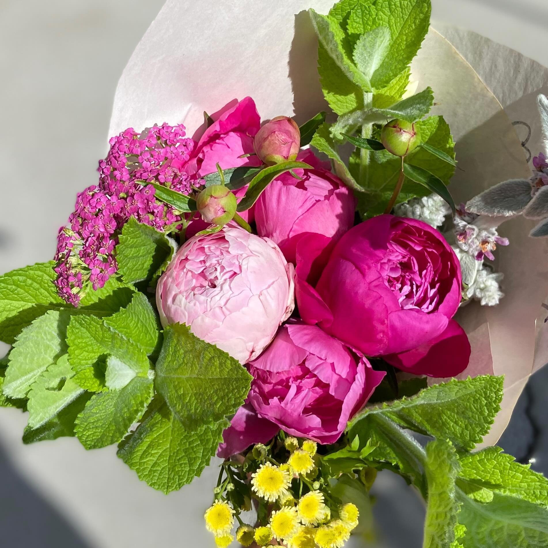 Do you need a gift for someone special this Mother&rsquo;s Day? How about a meaningful gift of flowers for an entire summer- something special every week, not just one day in May! Storybook Flower Bouquet Subscriptions are just that: ephemeral, subli