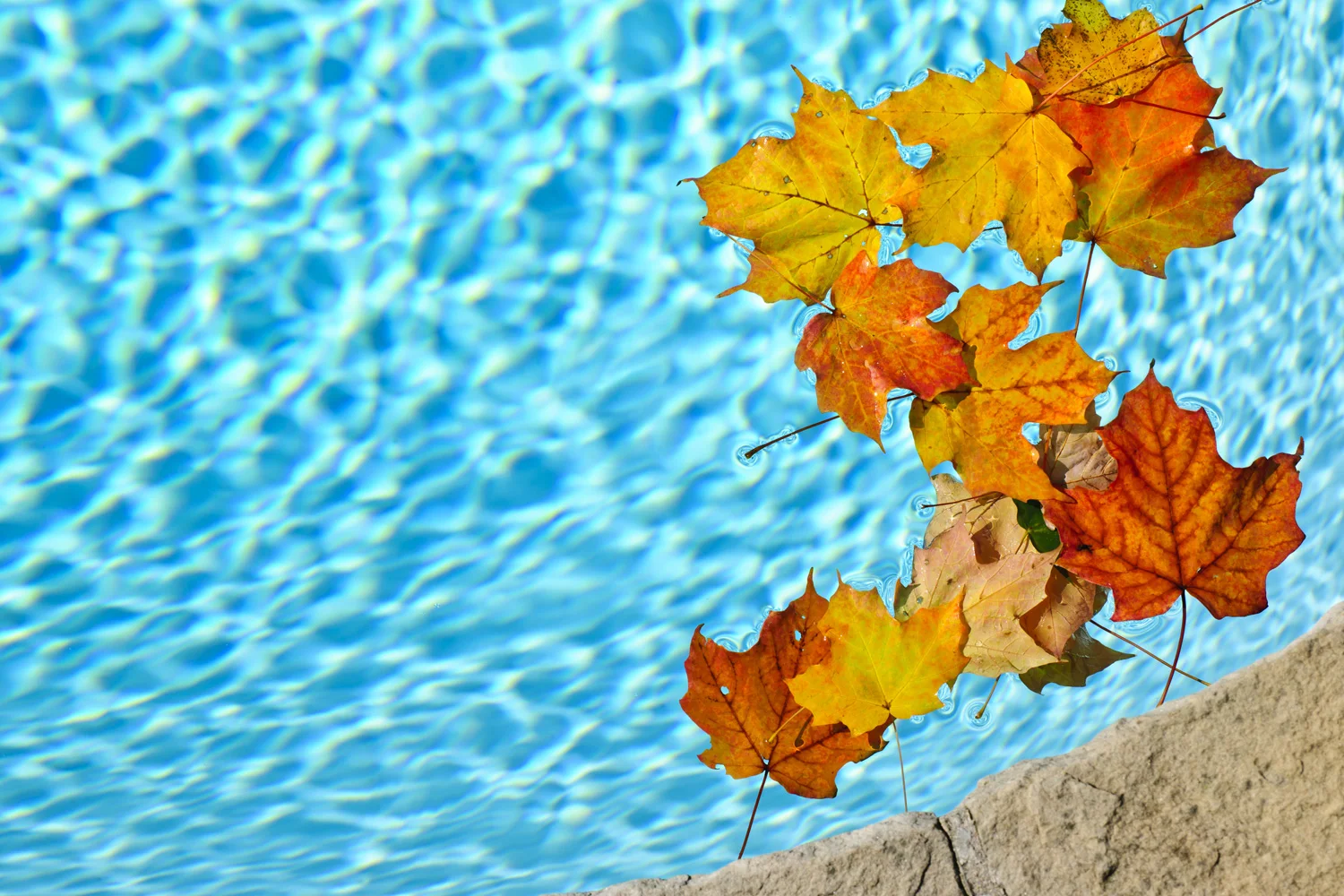 Fall is not Just a Time for Closing Your Pool