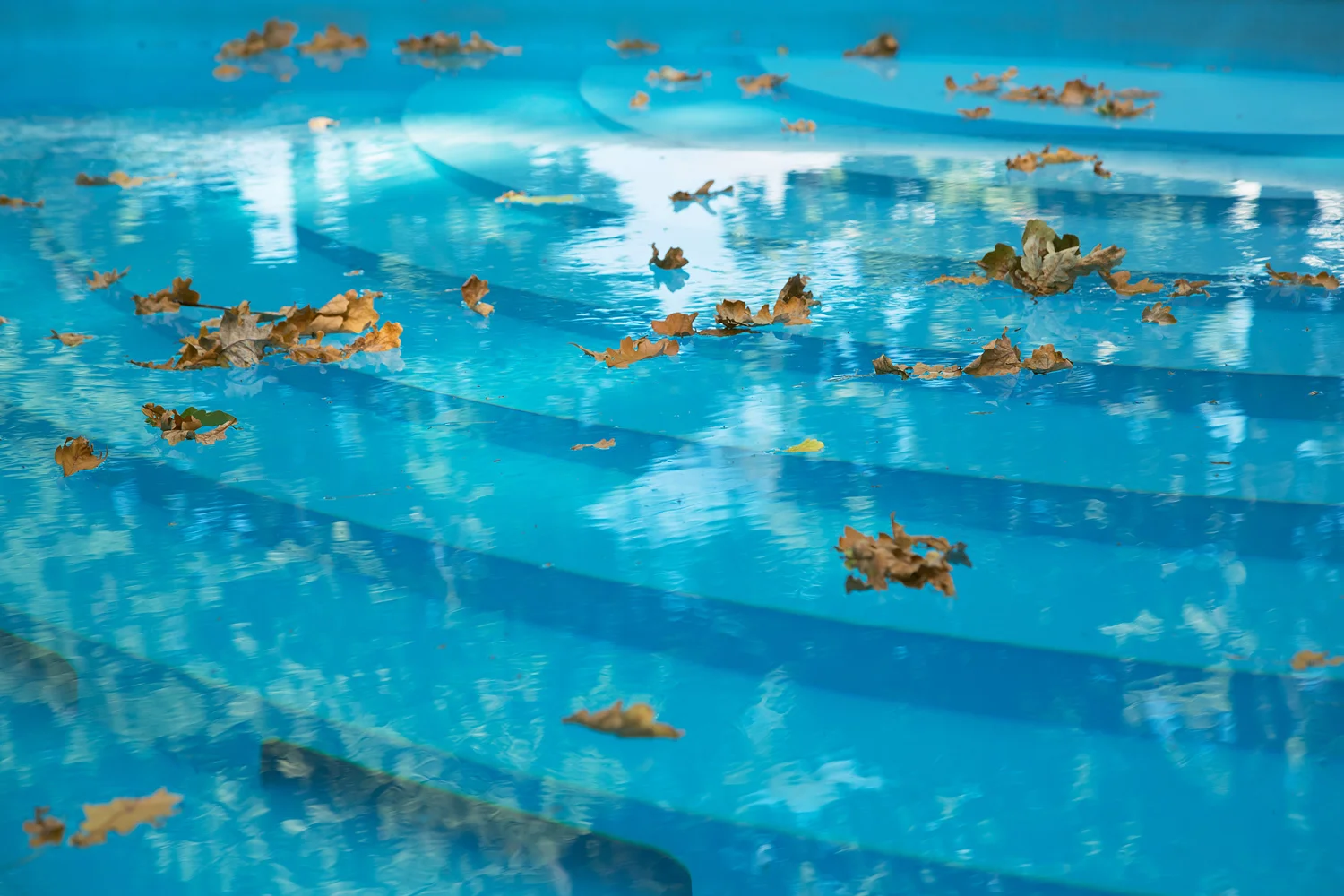 Fall swimming pool upgrades | Aveco Pools