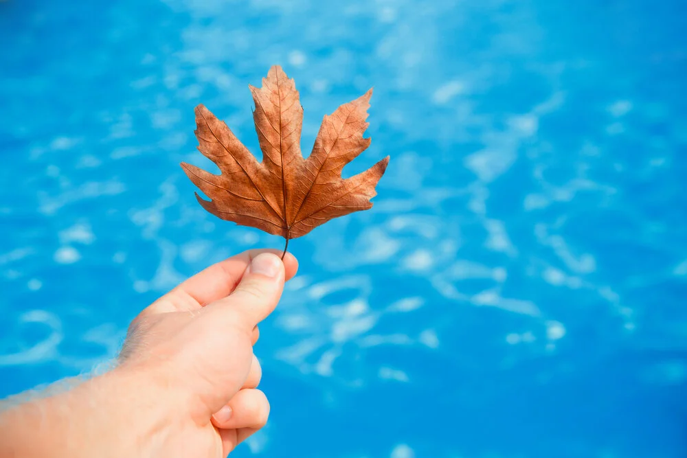 5 Tips On Closing A Pool For Winter