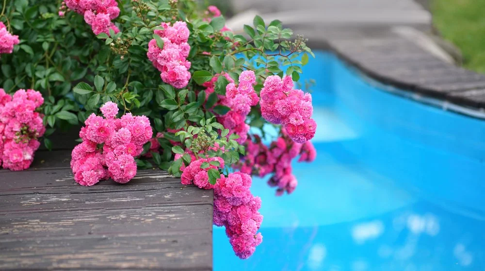 4 Tips For Opening Your Pool In Spring